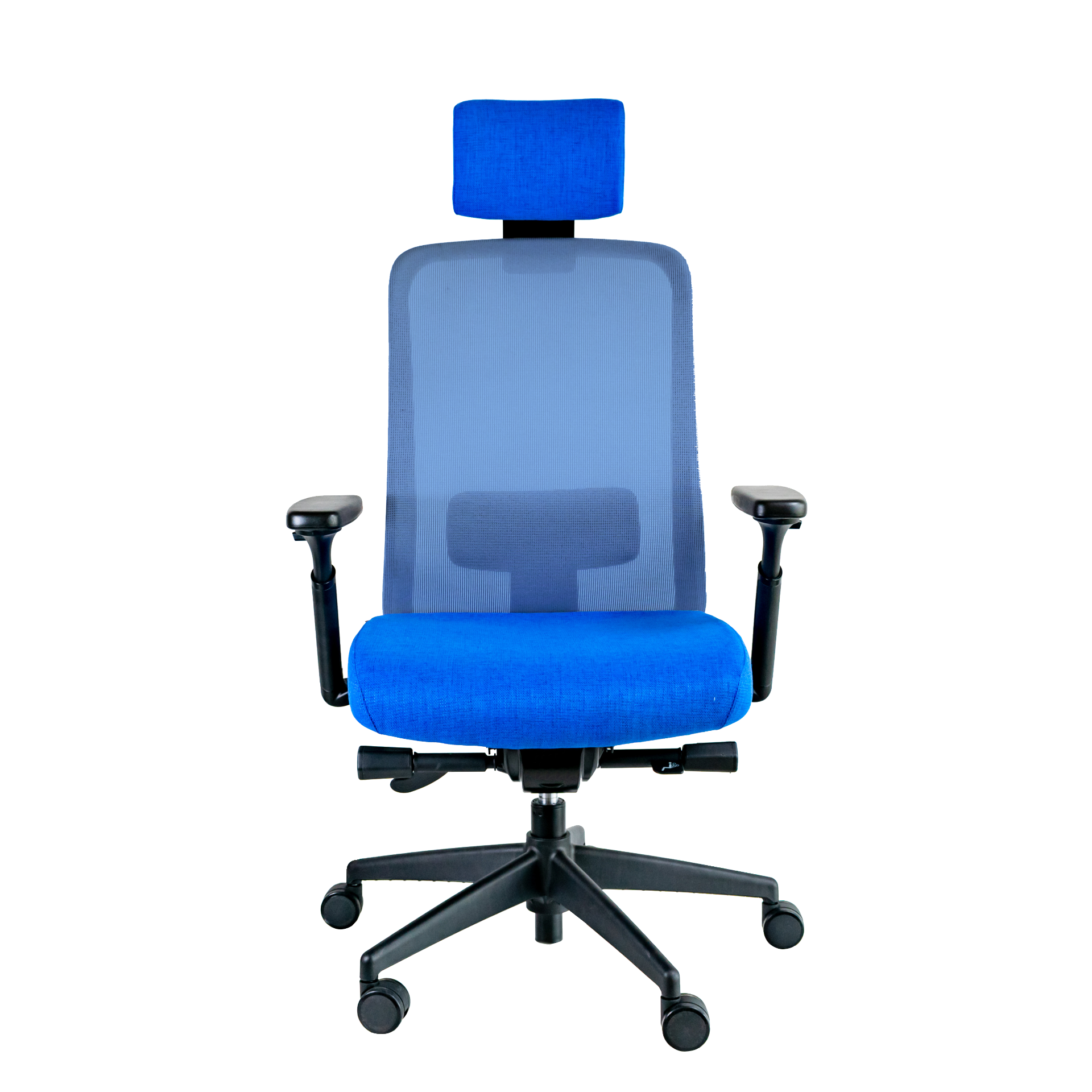 Galería de Trev-1600