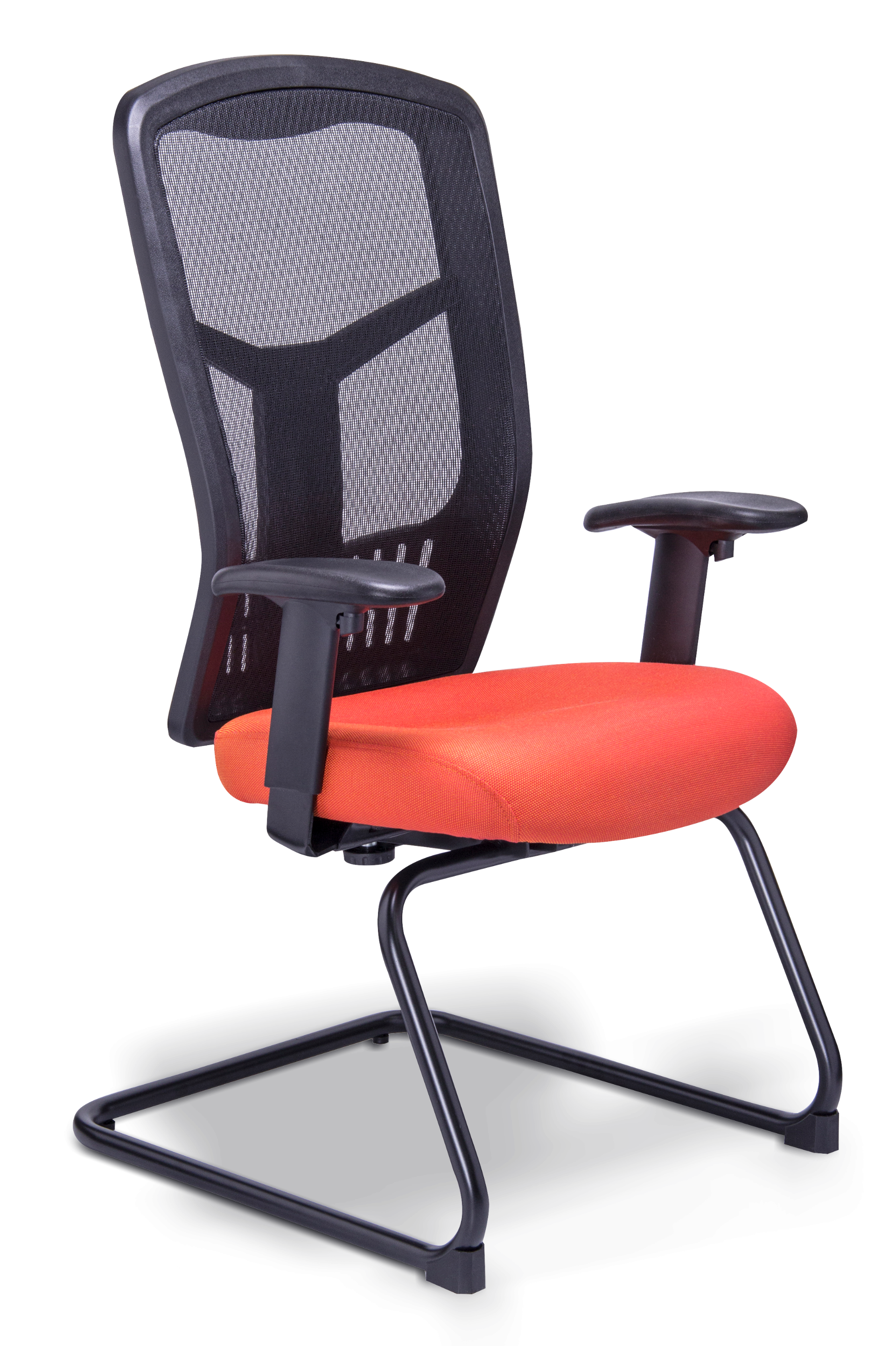 Galería de TREV-1955